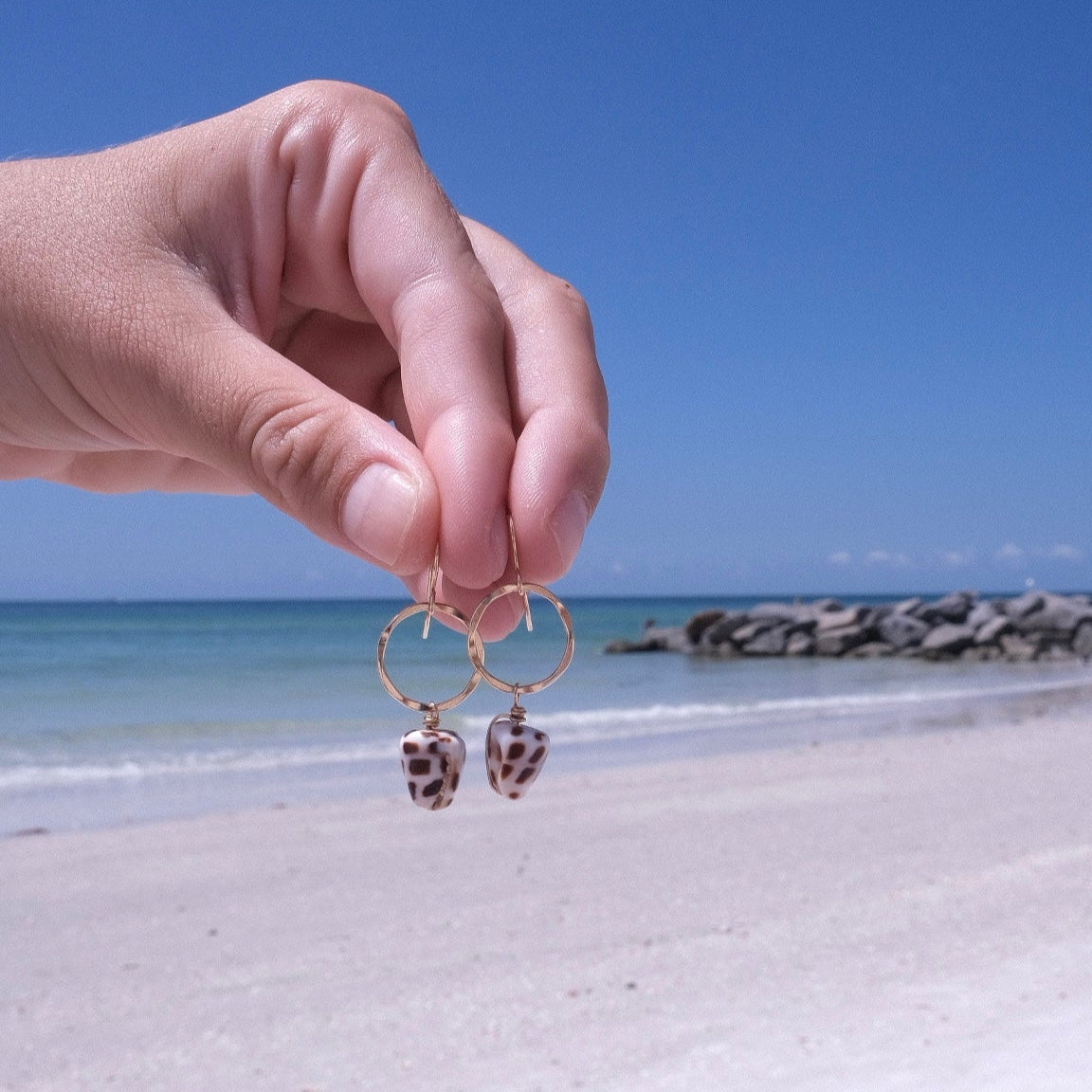 Tide Pool Treasures Small