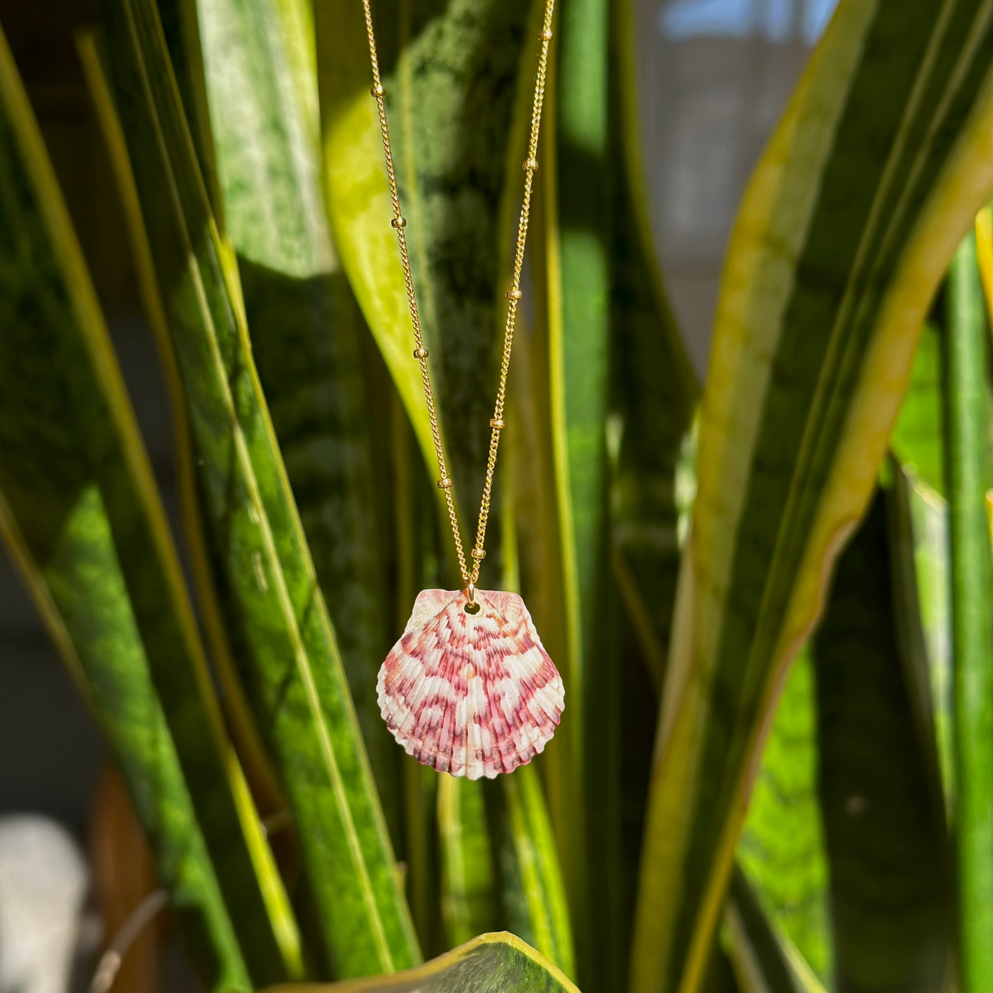 Dainty Gold Filled Necklace