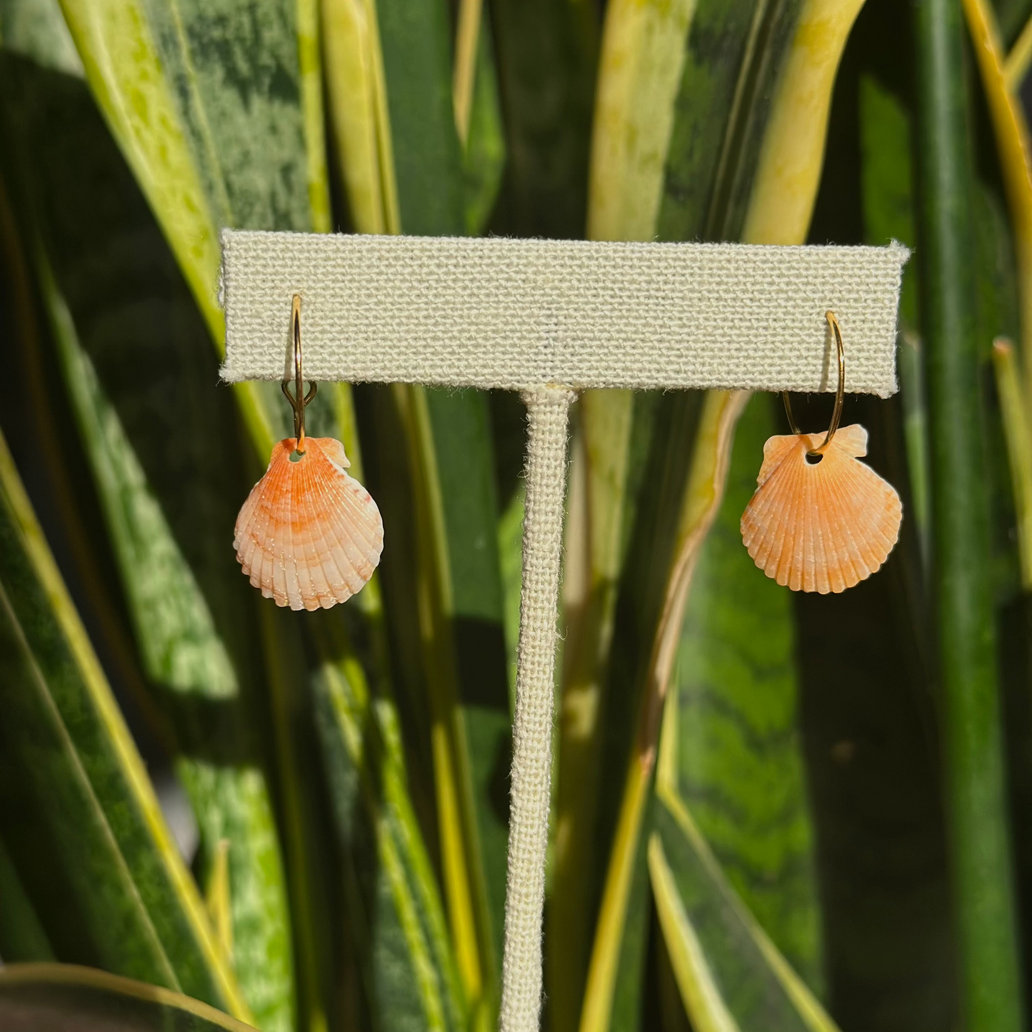 Dainty Hoop Earrings