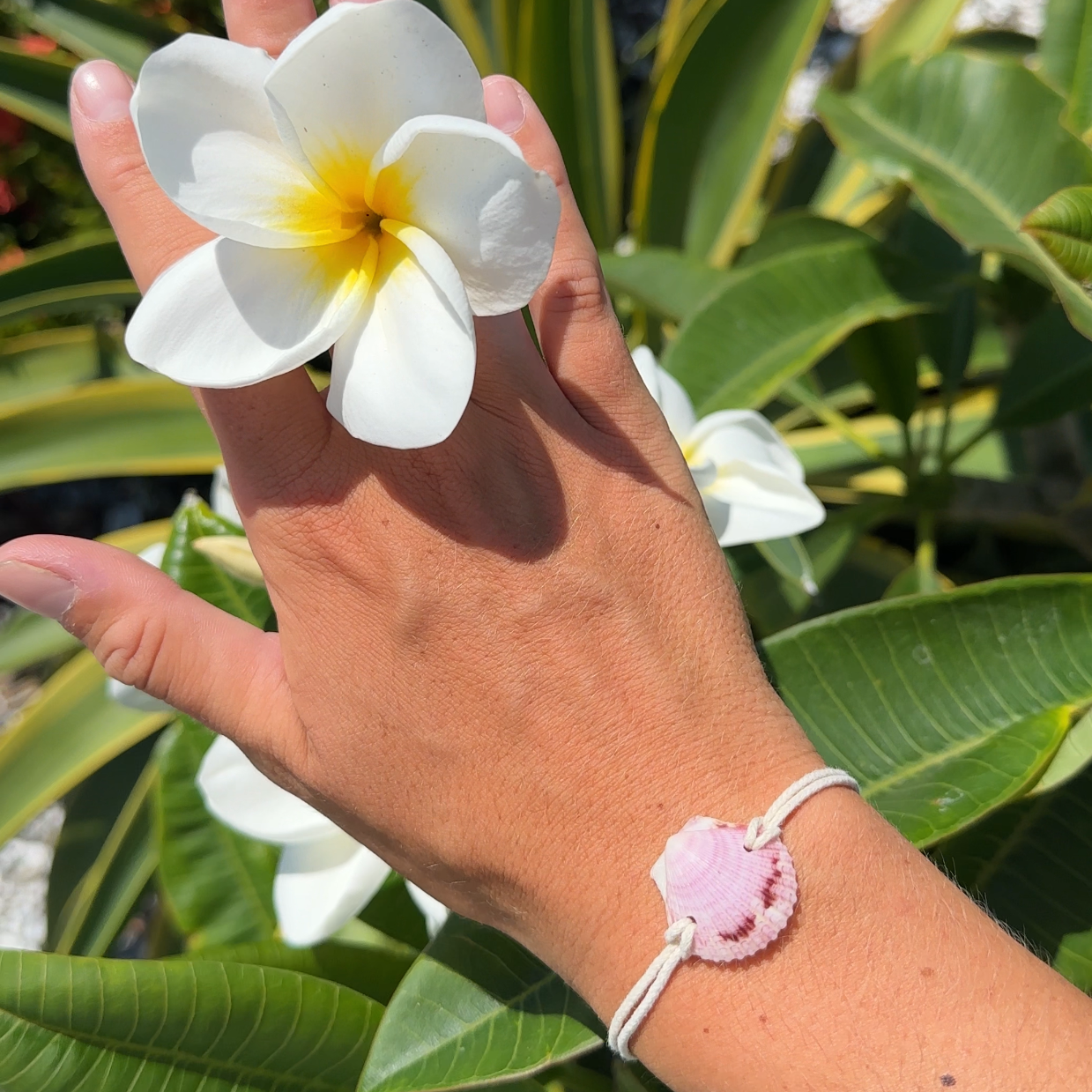 Seashell Adjustable Bracelet