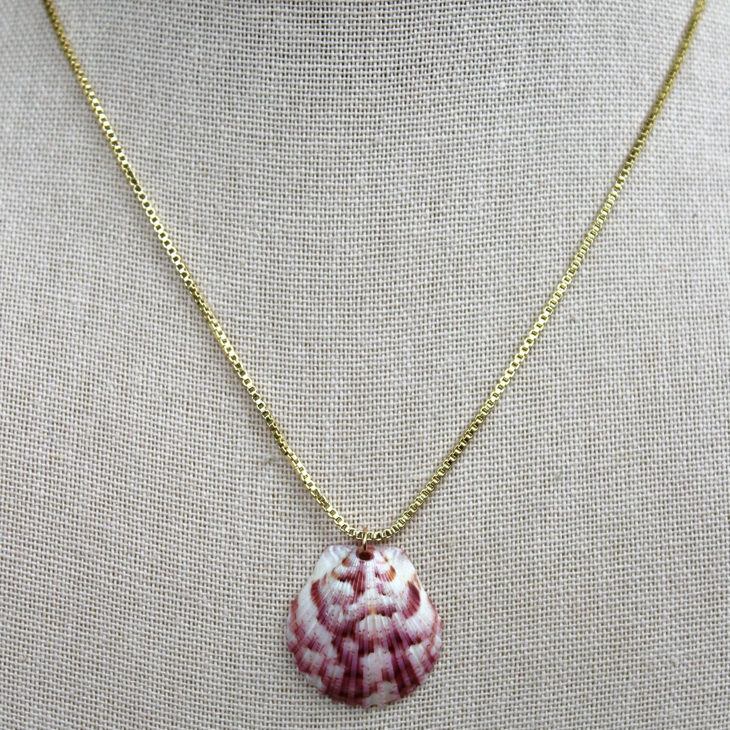 Seashell Box Chain Necklace