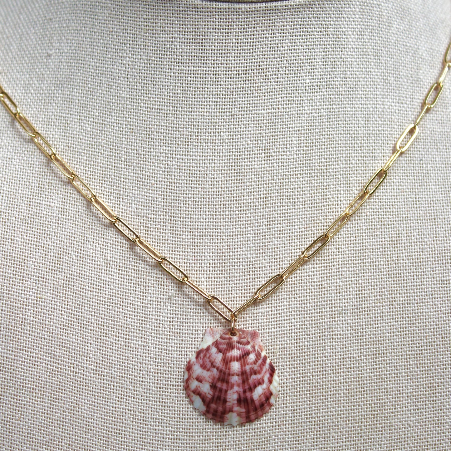 Seashell Paper Clip Necklace