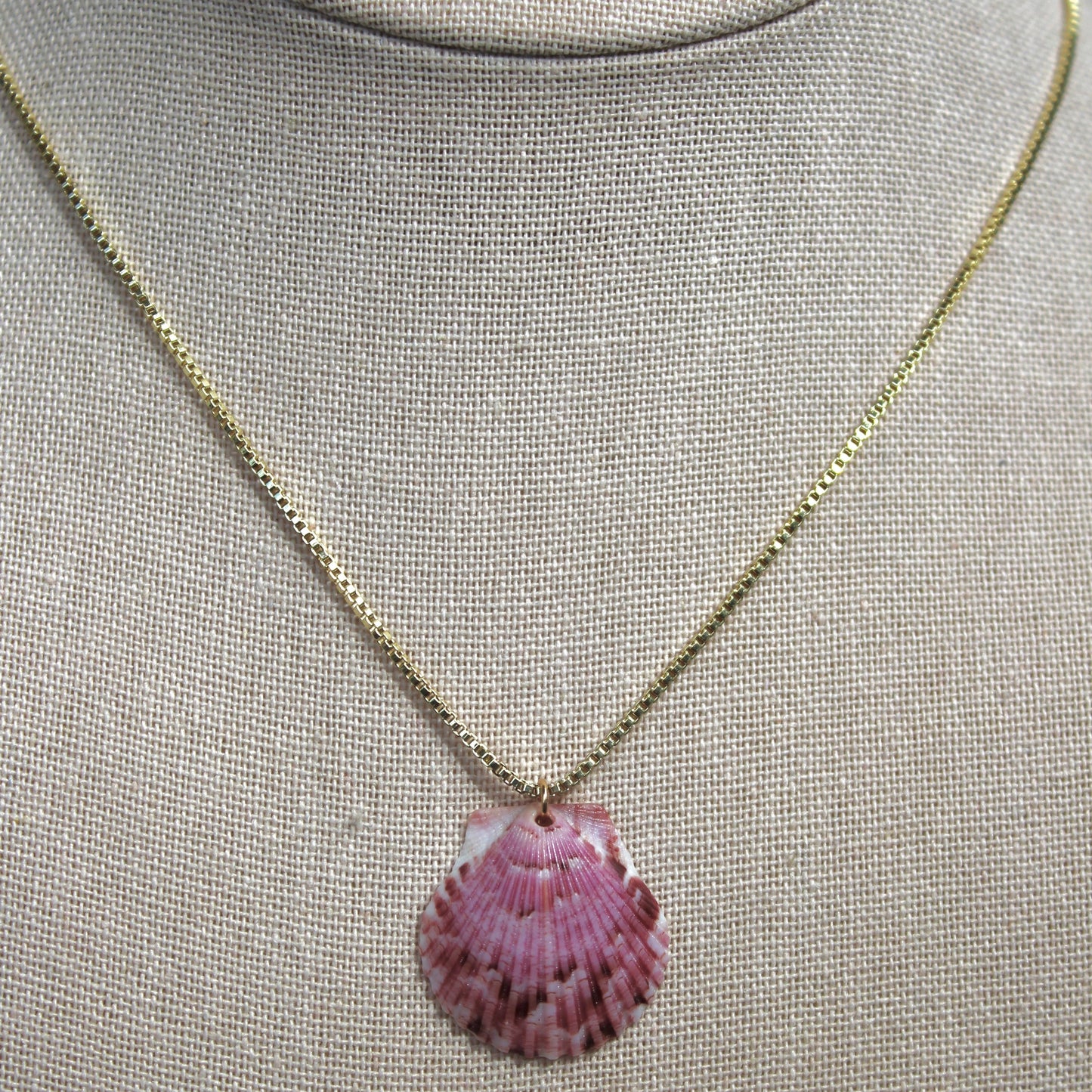 Seashell Box Chain Necklace