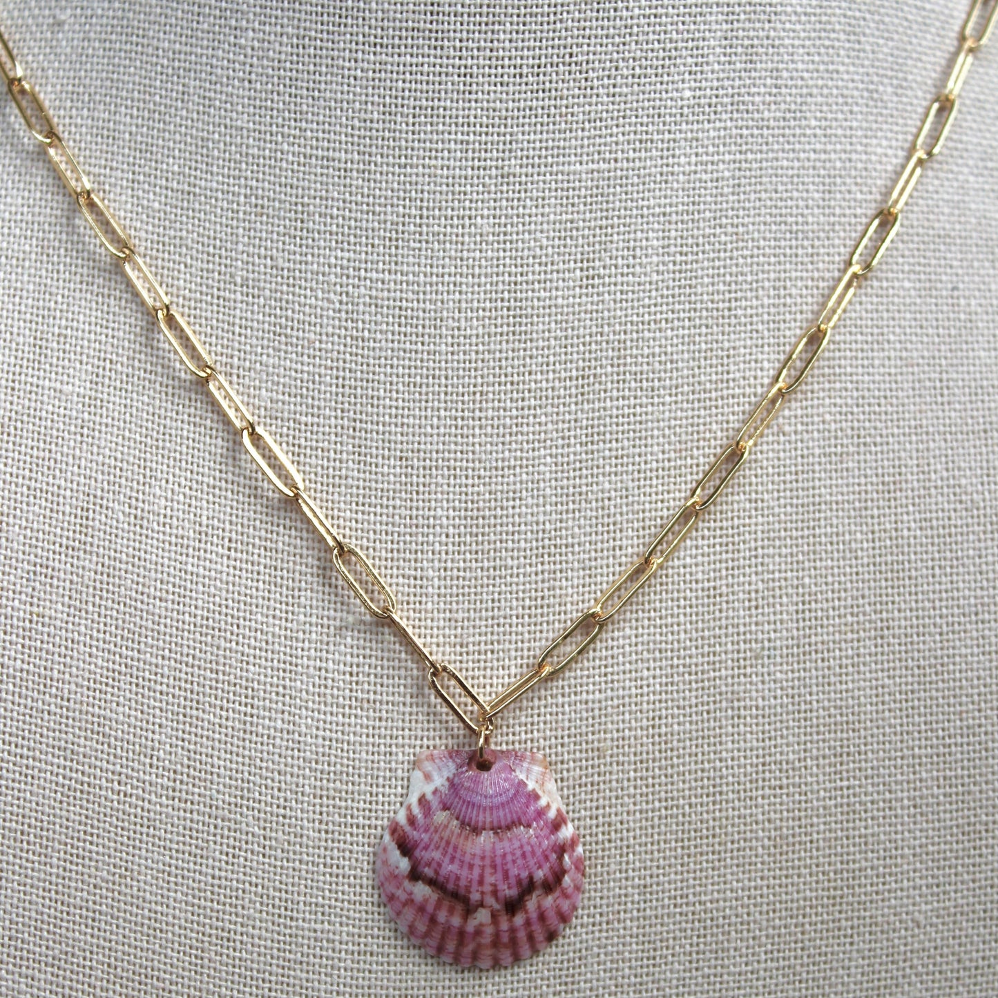 Seashell Paper Clip Necklace