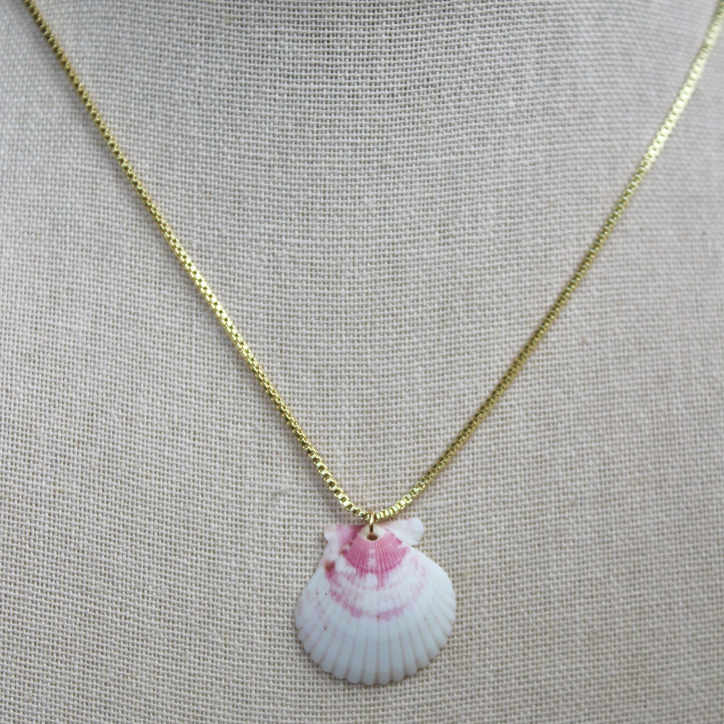 Seashell Box Chain Necklace