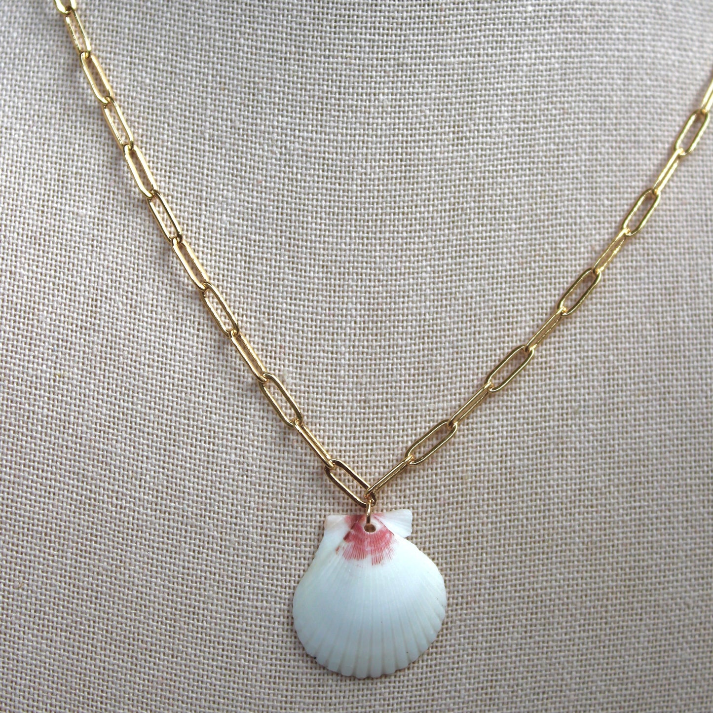 Seashell Paper Clip Necklace