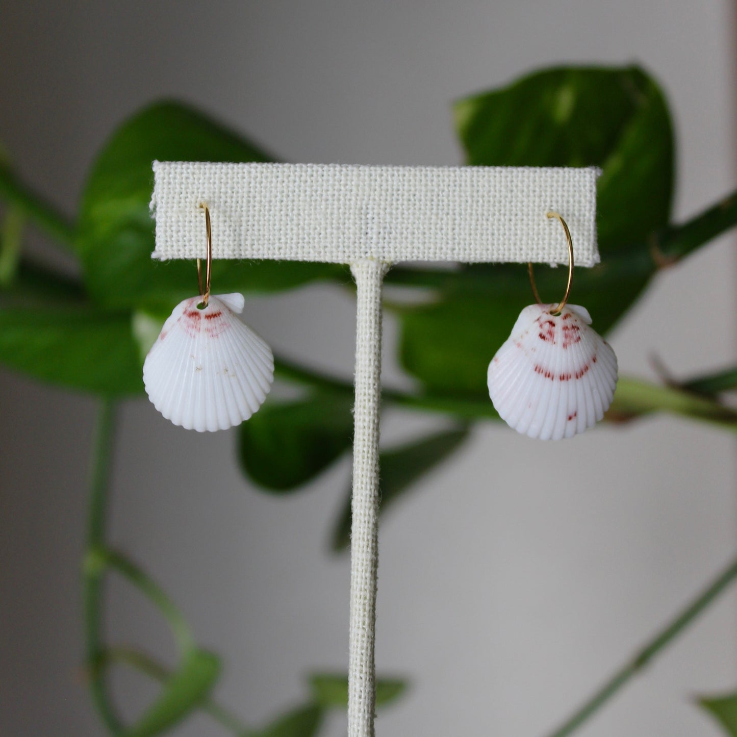 Dainty Hoop Earrings