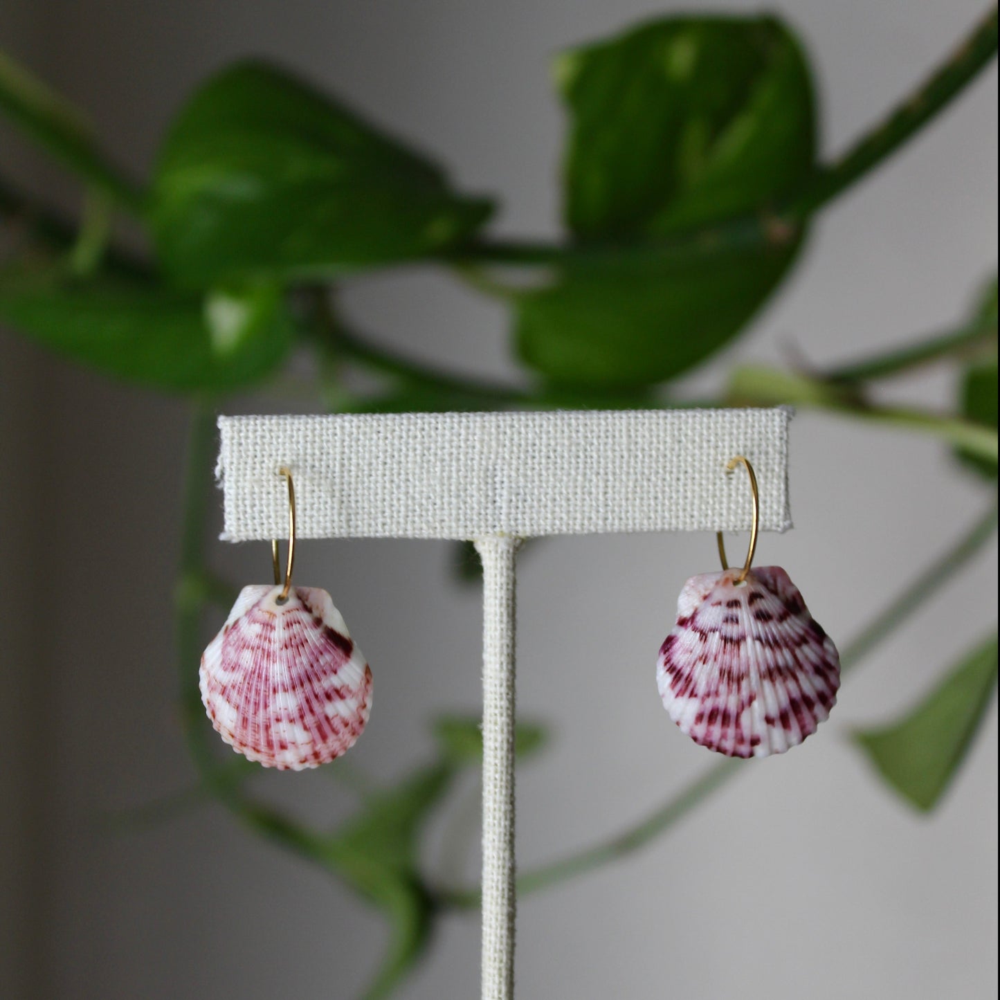 Dainty Hoop Earrings