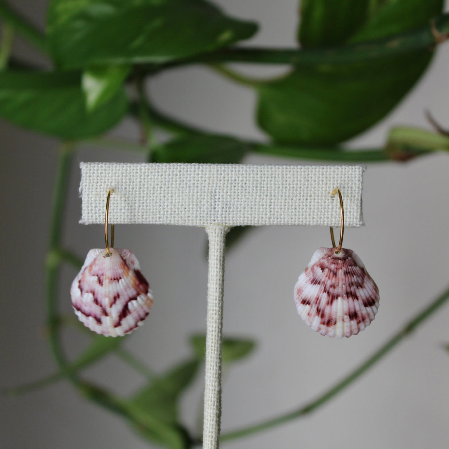 Dainty Hoop Earrings