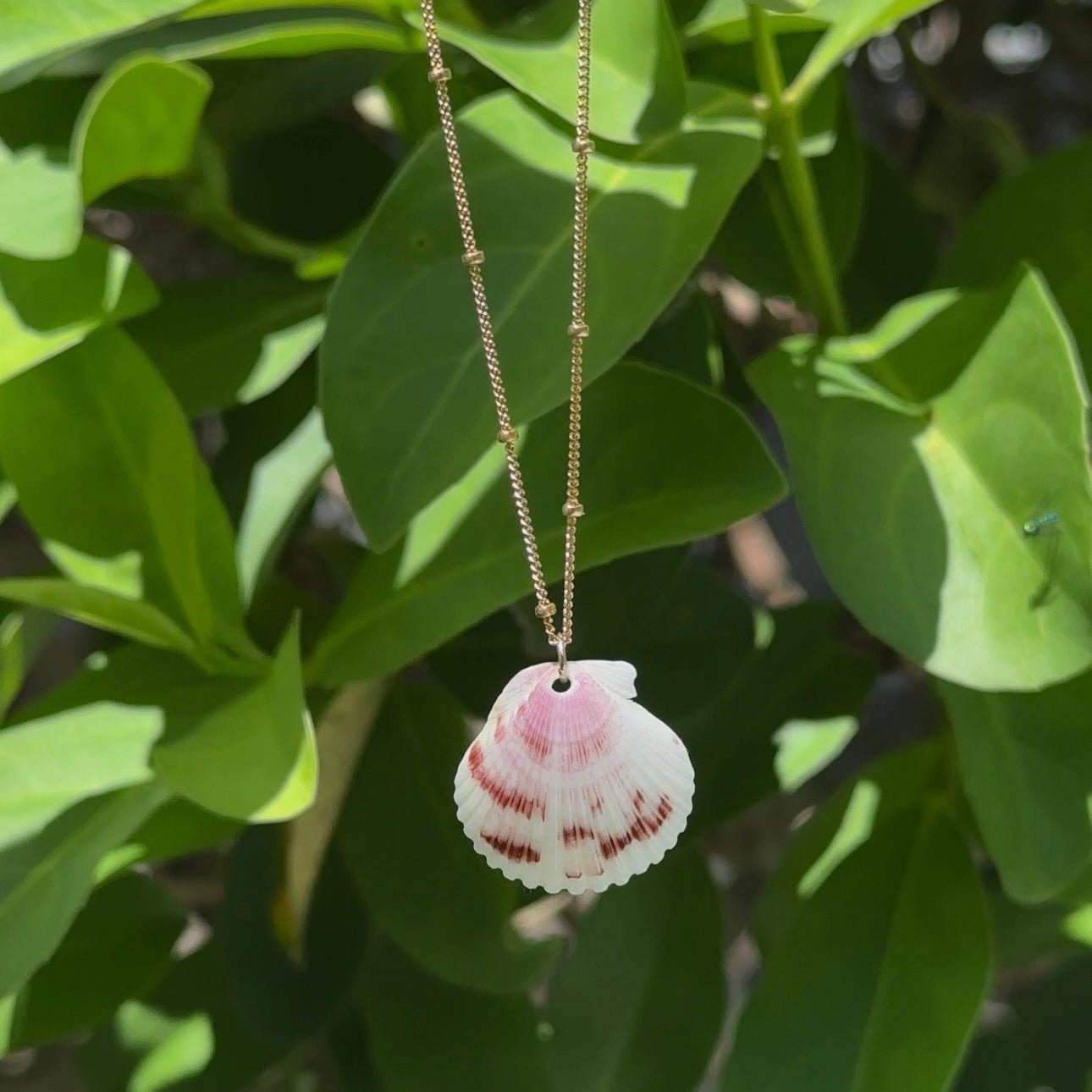 Gold Filled Seashell Necklace.