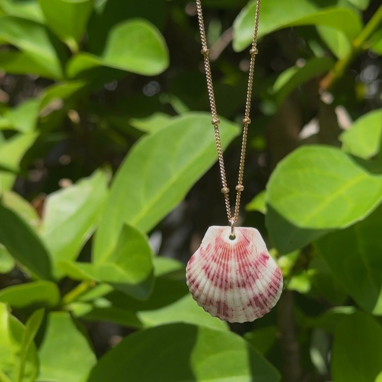 Gold Filled Seashell Necklace.