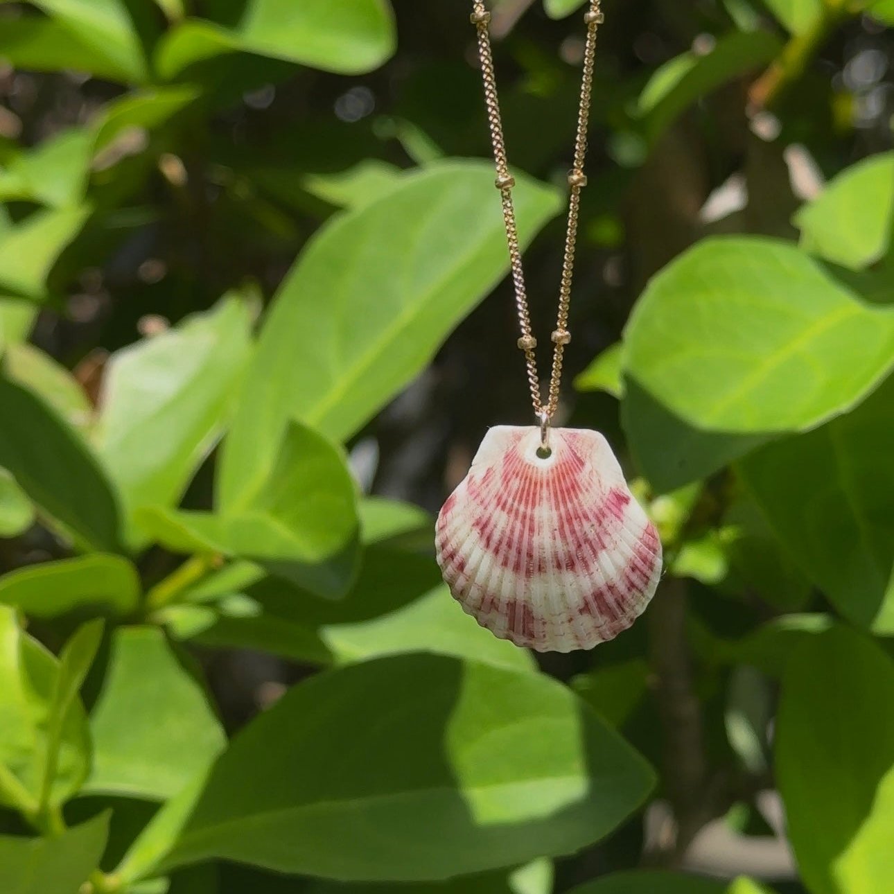 Dainty Gold Filled Necklace