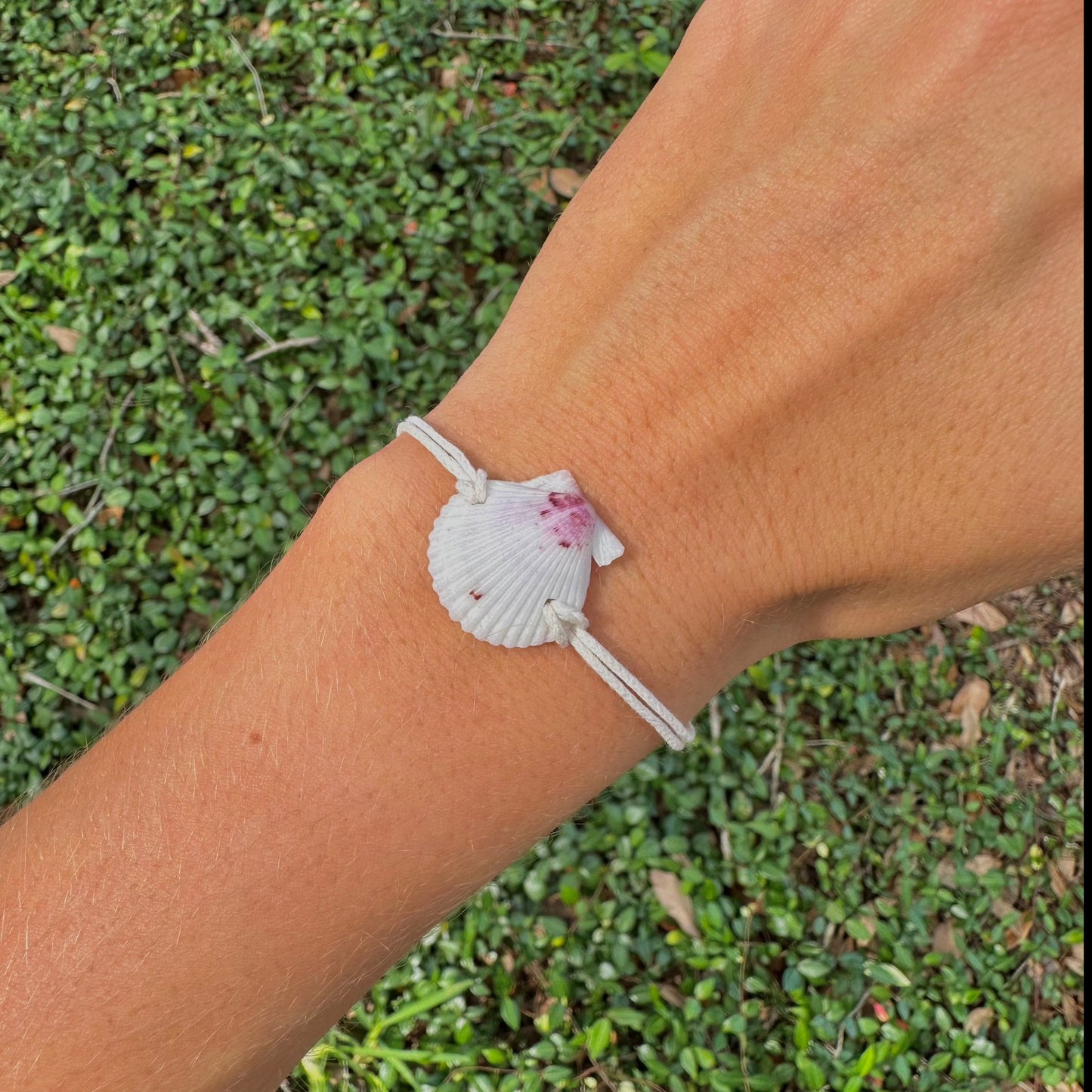 Seashell Adjustable Bracelet