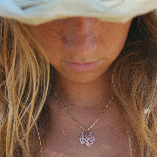 Seashell Box Chain Necklace